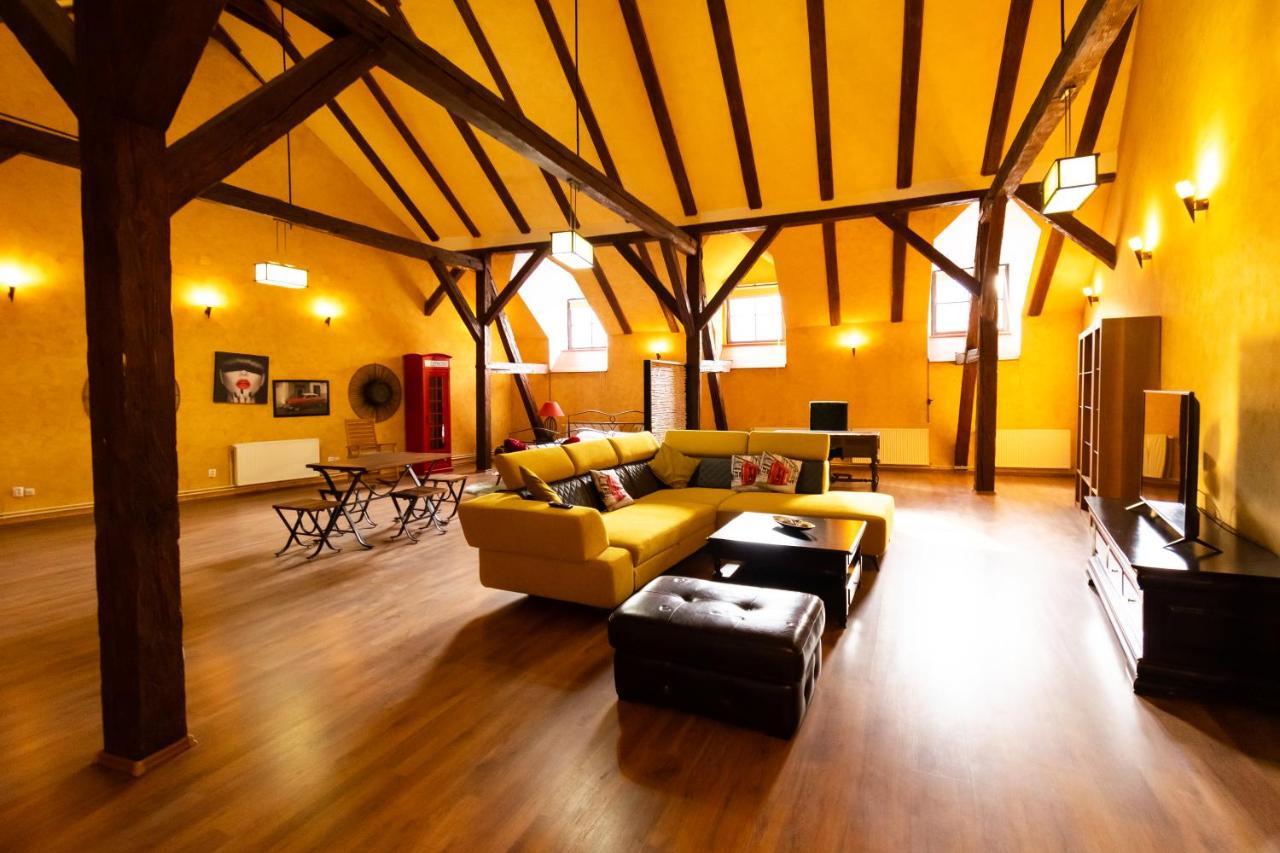The Attic - Large Open-space In The Old Town Of Brasov, Minutes Away From The Black Church Apartament *
