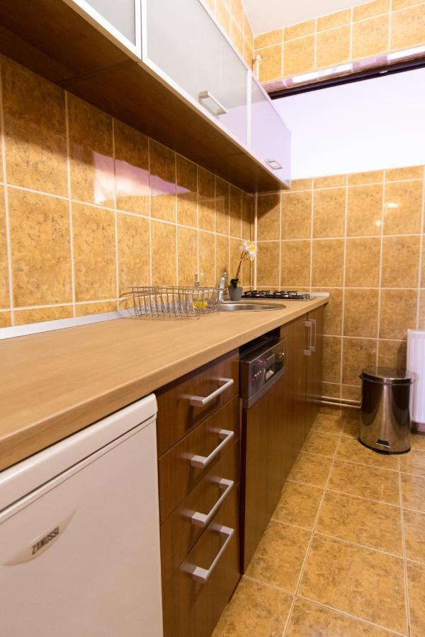 Apartament The Attic - Large Open-space In The Old Town Of Brasov, Minutes Away From The Black Church Brașov